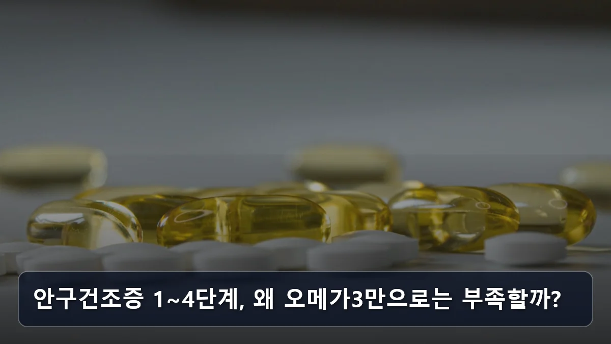 안구건조증 1~4단계, 왜 오메가3만으로는 부족할까? 관련 이미지