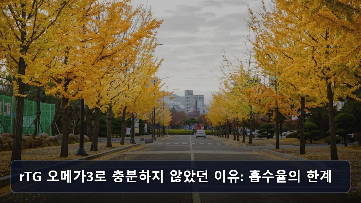 rTG 오메가3로 충분하지 않았던 이유: 흡수율의 한계 관련 이미지