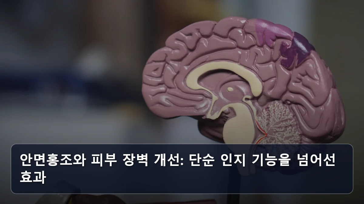 안면홍조와 피부 장벽 개선: 단순 인지 기능을 넘어선 효과 관련 이미지