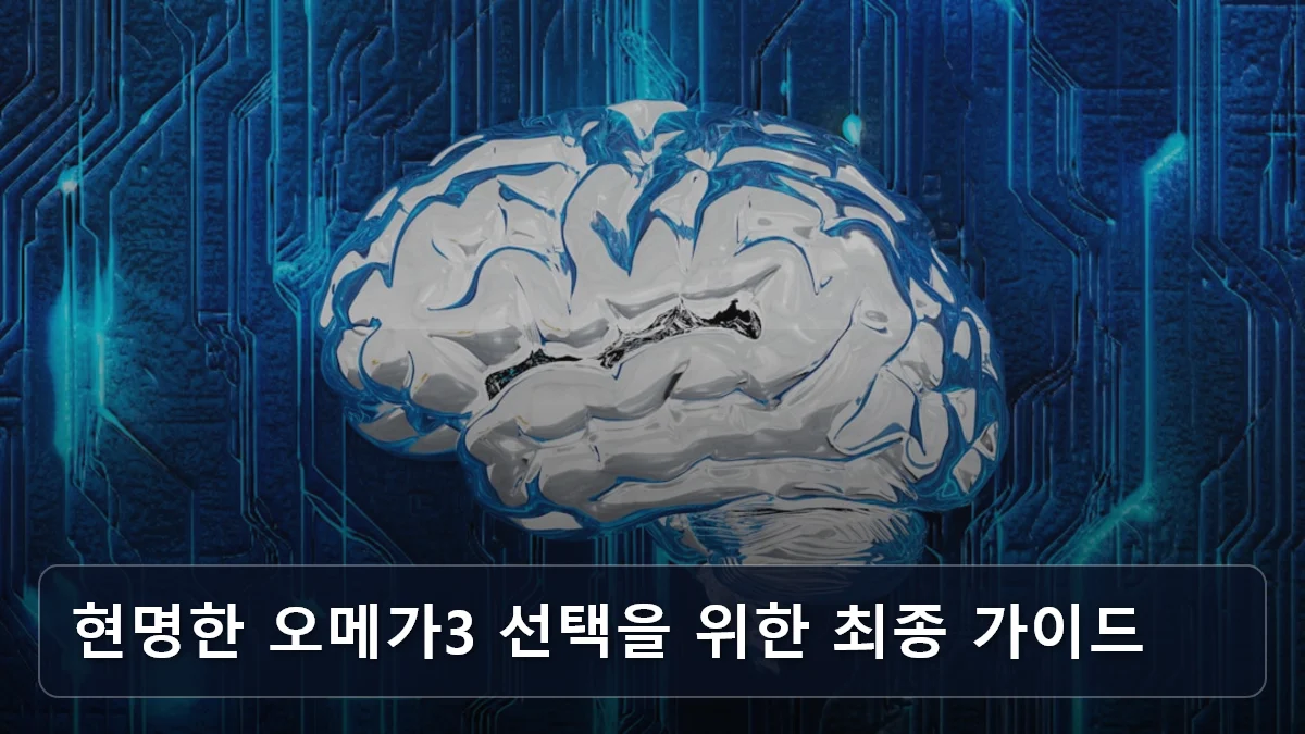 현명한 오메가3 선택을 위한 최종 가이드 관련 이미지