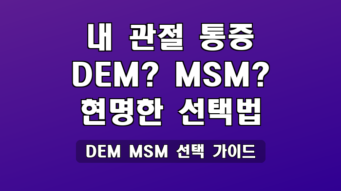 DEM MSM 선택 가이드