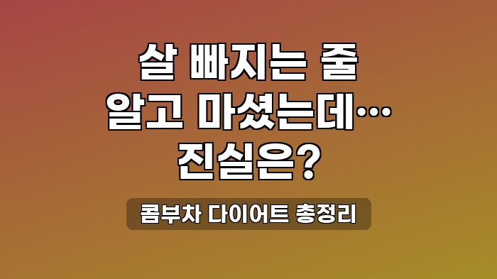 콤부차 다이어트 총정리